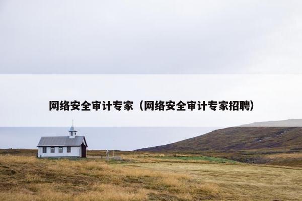 网络安全审计专家（网络安全审计专家招聘）