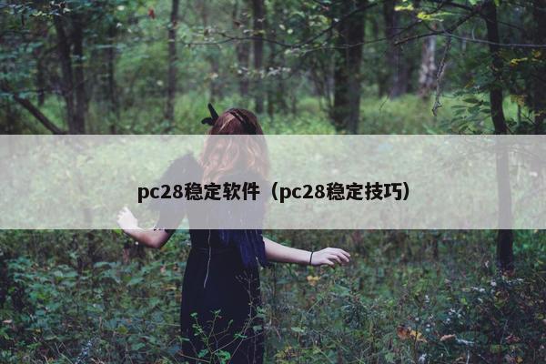 pc28稳定软件（pc28稳定技巧）