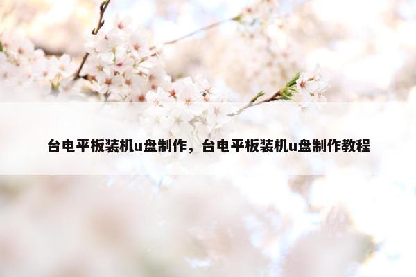 台电平板装机u盘制作，台电平板装机u盘制作教程