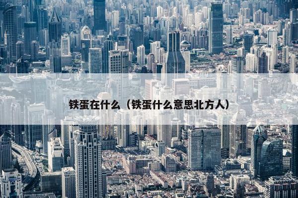 铁蛋在什么（铁蛋什么意思北方人）