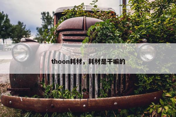thoon耗材，耗材是干嘛的