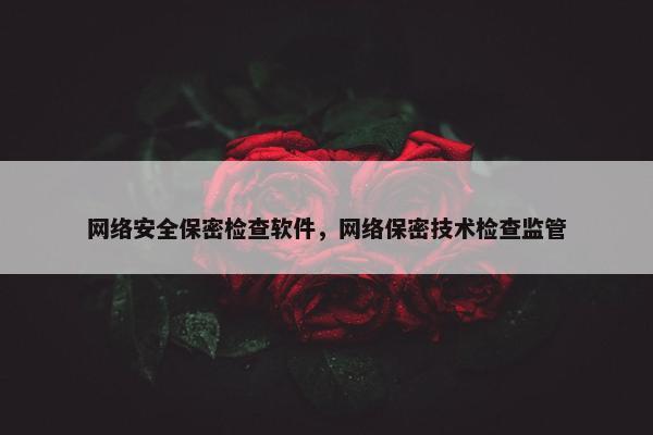 网络安全保密检查软件，网络保密技术检查监管