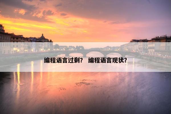 编程语言过剩？ 编程语言现状？
