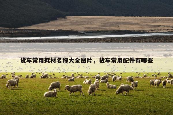货车常用耗材名称大全图片，货车常用配件有哪些