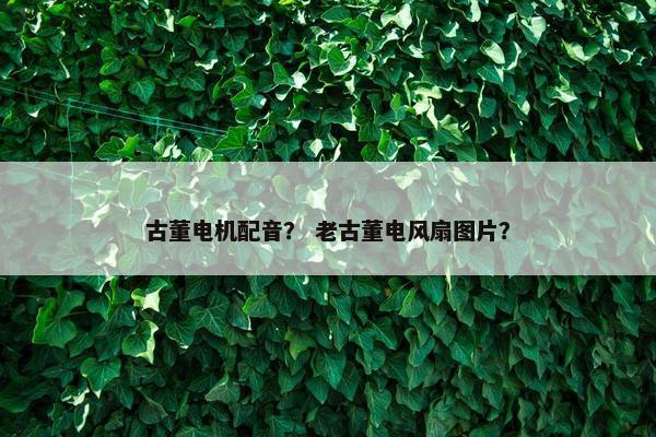 古董电机配音？ 老古董电风扇图片？