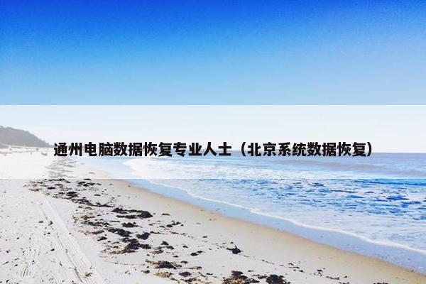 通州电脑数据恢复专业人士（北京系统数据恢复）