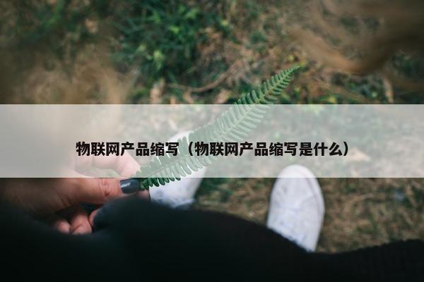 物联网产品缩写（物联网产品缩写是什么）