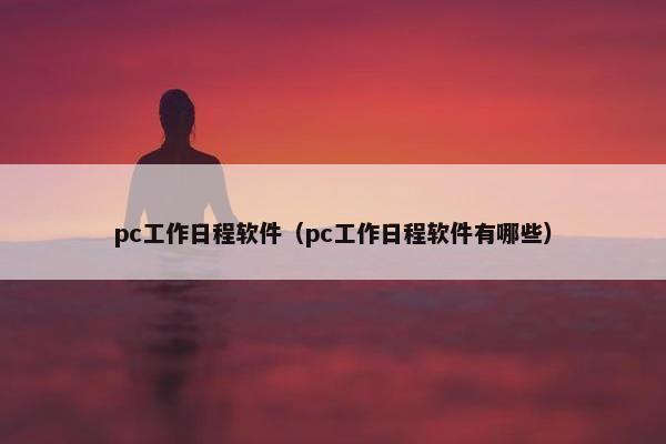pc工作日程软件（pc工作日程软件有哪些）