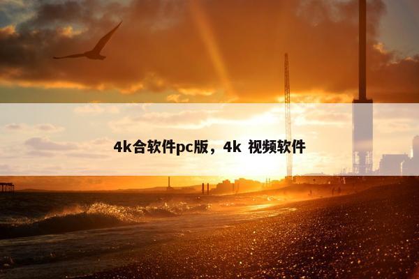 4k合软件pc版，4k 视频软件