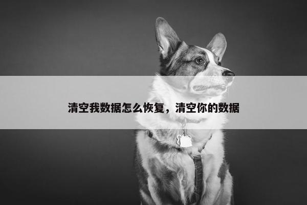 清空我数据怎么恢复，清空你的数据
