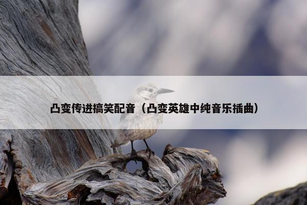 凸变传进搞笑配音（凸变英雄中纯音乐插曲）