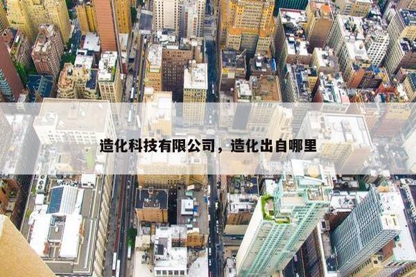 造化科技有限公司，造化出自哪里