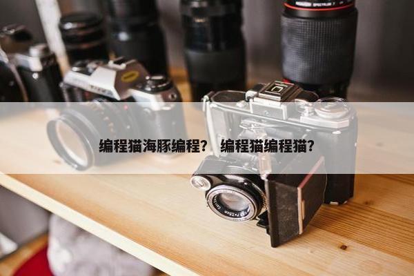 编程猫海豚编程？ 编程猫编程猫？