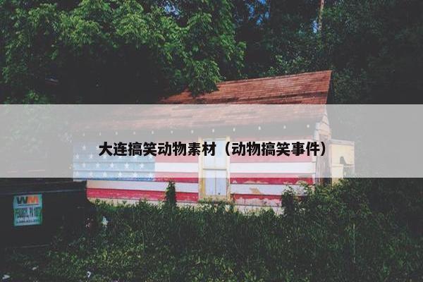 大连搞笑动物素材（动物搞笑事件）