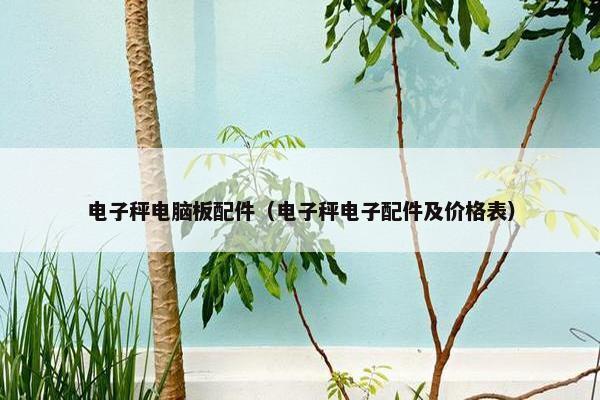 电子秤电脑板配件（电子秤电子配件及价格表）