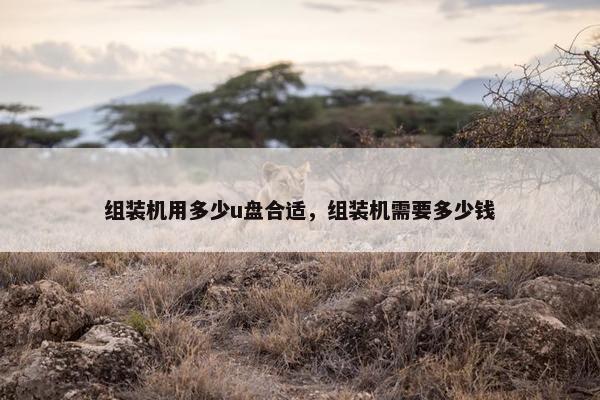 组装机用多少u盘合适，组装机需要多少钱