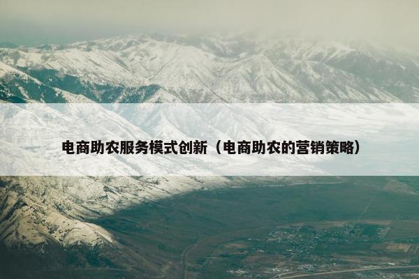 电商助农服务模式创新（电商助农的营销策略）
