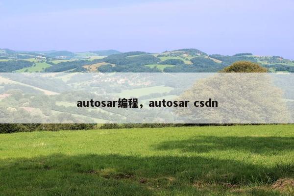 autosar编程，autosar csdn