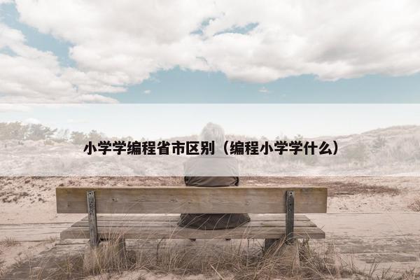 小学学编程省市区别（编程小学学什么）