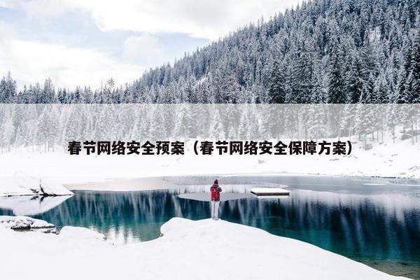 春节网络安全预案（春节网络安全保障方案）
