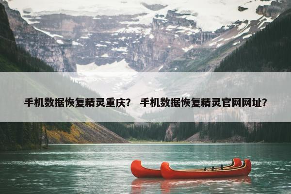 手机数据恢复精灵重庆？ 手机数据恢复精灵官网网址？