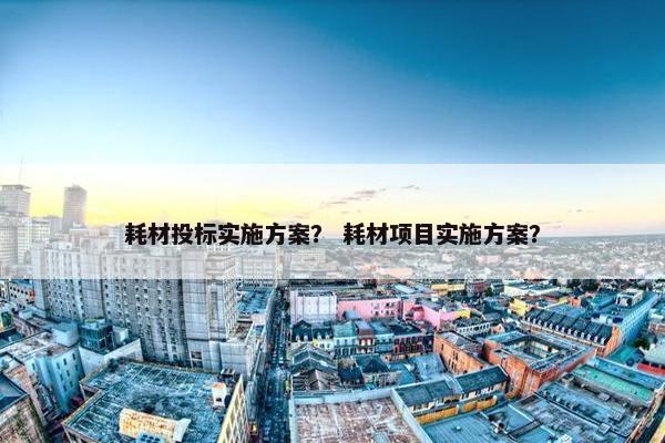 耗材投标实施方案？ 耗材项目实施方案？