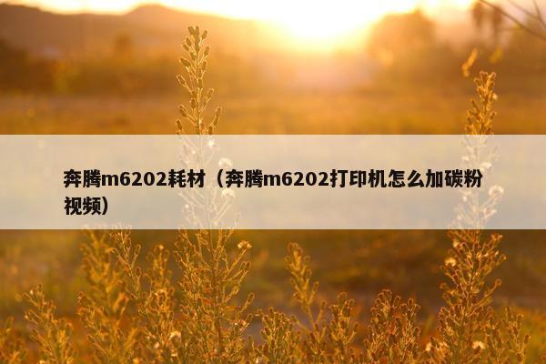 奔腾m6202耗材（奔腾m6202打印机怎么加碳粉视频）