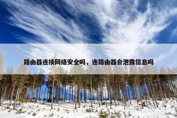 路由器连接网络安全吗，连路由器会泄露信息吗