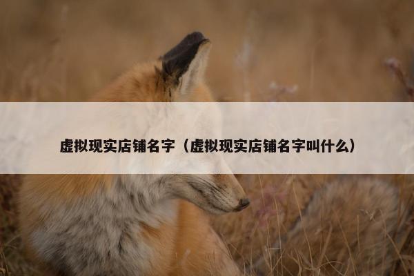 虚拟现实店铺名字（虚拟现实店铺名字叫什么）