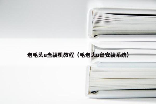 老毛头u盘装机教程（毛老头u盘安装系统）