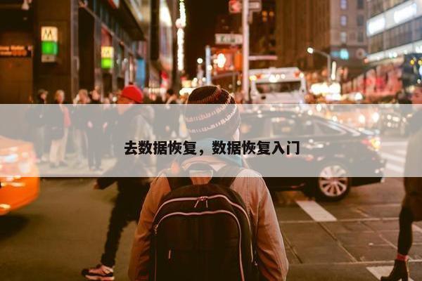 去数据恢复，数据恢复入门