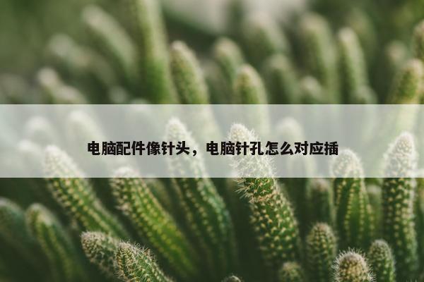 电脑配件像针头，电脑针孔怎么对应插