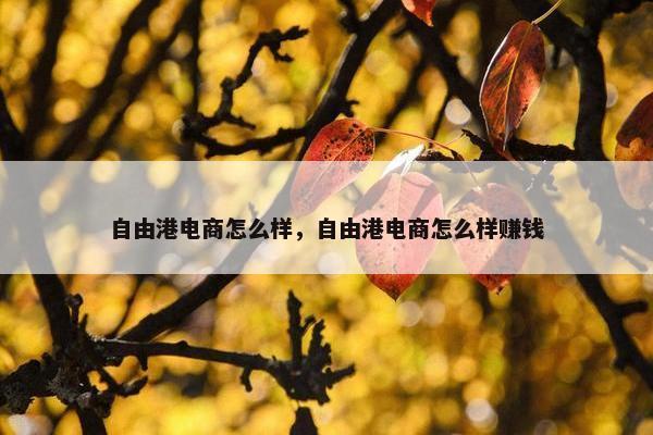自由港电商怎么样，自由港电商怎么样赚钱