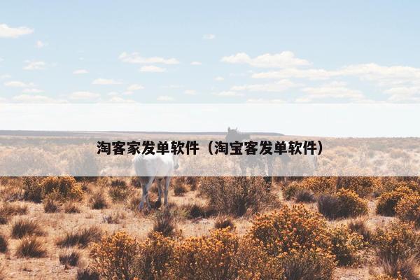 淘客家发单软件（淘宝客发单软件）