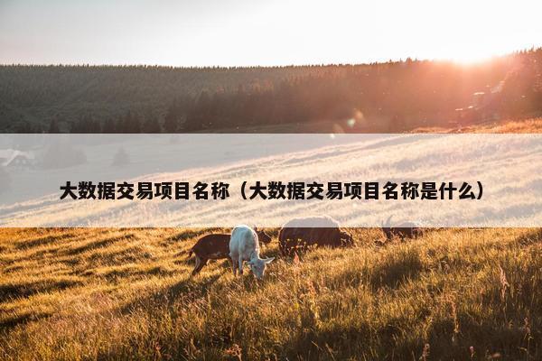 大数据交易项目名称（大数据交易项目名称是什么）
