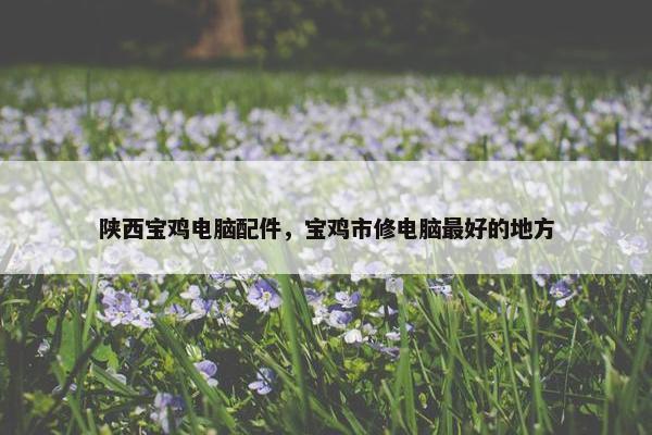 陕西宝鸡电脑配件，宝鸡市修电脑最好的地方