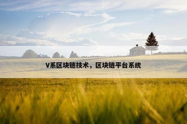 V系区块链技术，区块链平台系统