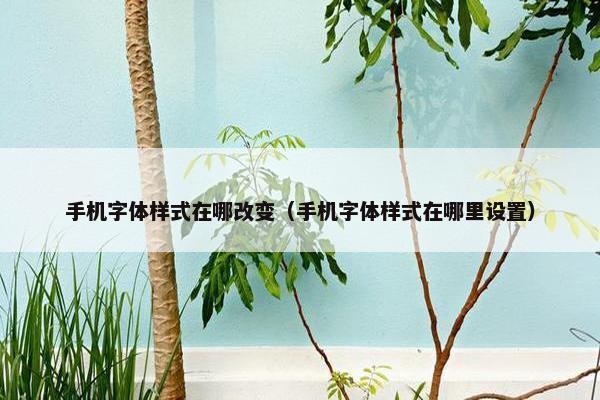 手机字体样式在哪改变（手机字体样式在哪里设置）