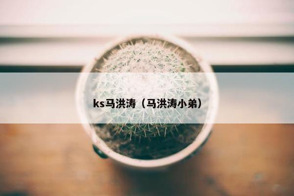 ks马洪涛（马洪涛小弟）