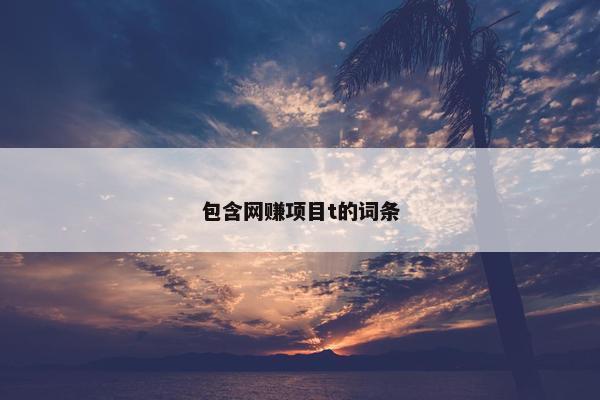 包含网赚项目t的词条