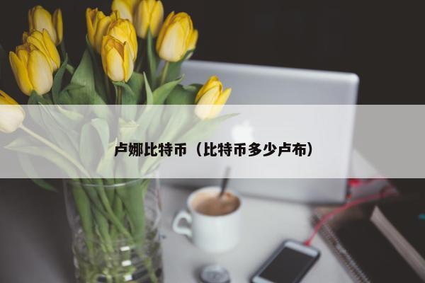 卢娜比特币（比特币多少卢布）