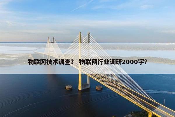 物联网技术调查？ 物联网行业调研2000字？