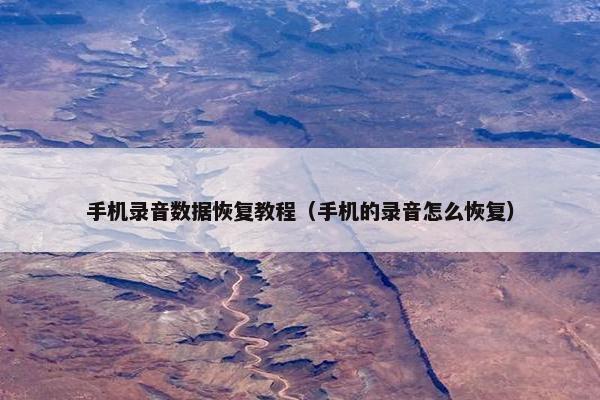 手机录音数据恢复教程（手机的录音怎么恢复）