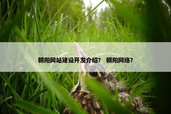 朝阳网站建设开发介绍？ 朝阳网络？