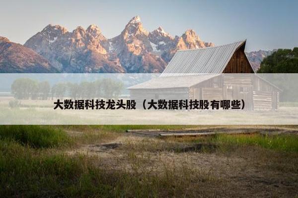 大数据科技龙头股（大数据科技股有哪些）