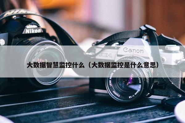 大数据智慧监控什么（大数据监控是什么意思）