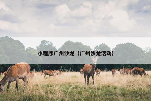 小程序广州沙龙（广州沙龙活动）