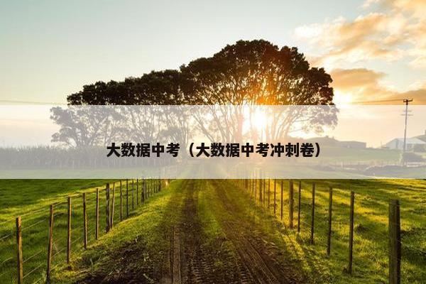 大数据中考（大数据中考冲刺卷）