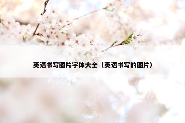 英语书写图片字体大全（英语书写的图片）