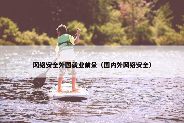 网络安全外国就业前景（国内外网络安全）